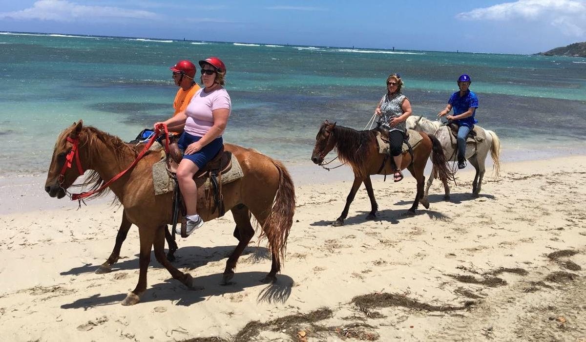 Guided horseback ride along the shore
